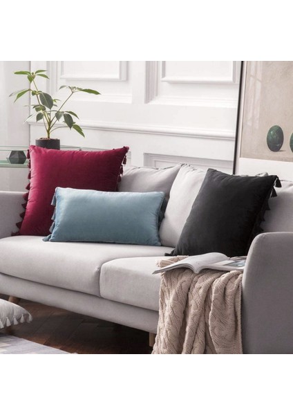 2'li Paket Kadife Yumuşak Katı Dekoratif Kırlent Örtüsü Püsküllü Saçak Boho Vurgulu Yastık Kılıfı Kanepe Çekyat (20 x 20 Inç, Bordo) (Yurt Dışından)