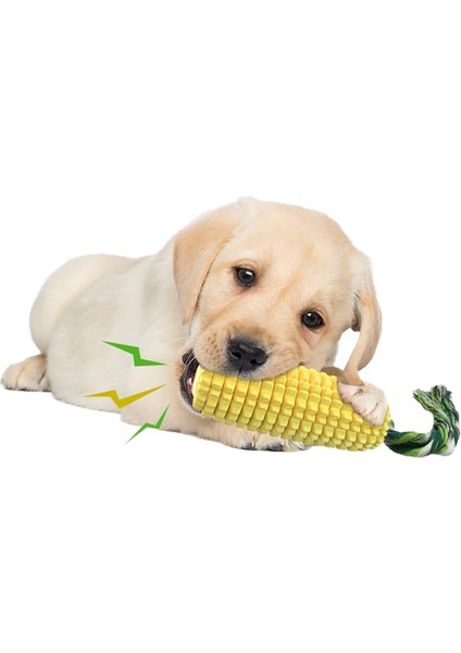 Mısır Sesi Çıkaran Köpek Diş Çıkarma Çubuğu Köpek Oyuncağı (Yurt Dışından) fiyatları