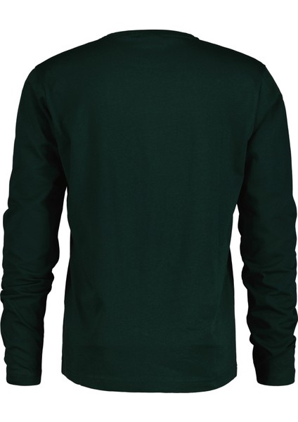 Erkek Yeşil Regular Fit Bisiklet Yaka T-Shirt 2004049.374 fiyatları