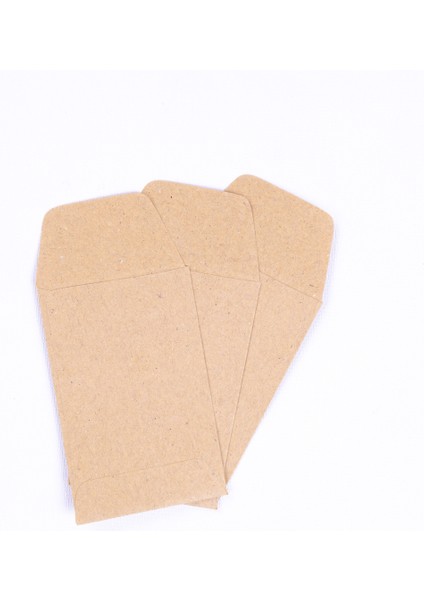 Kraft tohum zarfı, 5.5x9 cm 50 adet