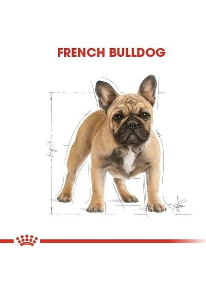 French Bulldog Yetişkin Köpek Maması 3 kg