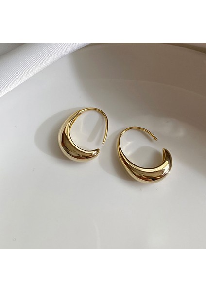 Altın Halka Küpeler Moda Halka Küpeler Hipoalerjenik Küpe Takı Doğum Günü Partisi Yılbaşı Hediyeleri Için Uygun (Yurt Dışından)