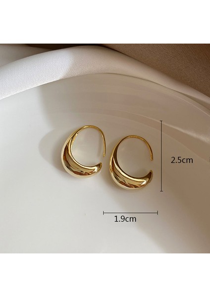 Altın Halka Küpeler Moda Halka Küpeler Hipoalerjenik Küpe Takı Doğum Günü Partisi Yılbaşı Hediyeleri Için Uygun (Yurt Dışından) fiyatları