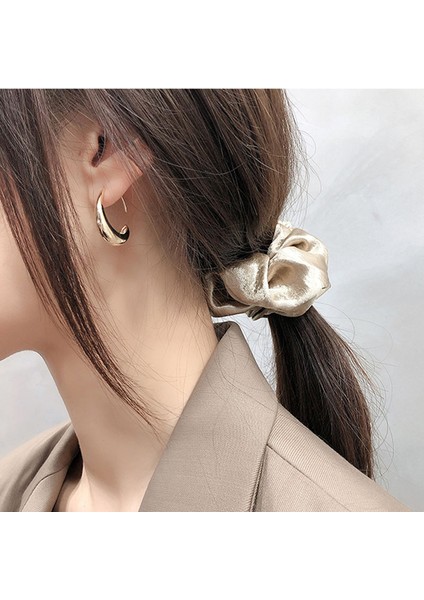 Altın Halka Küpeler Moda Halka Küpeler Hipoalerjenik Küpe Takı Doğum Günü Partisi Yılbaşı Hediyeleri Için Uygun (Yurt Dışından) fırsatları