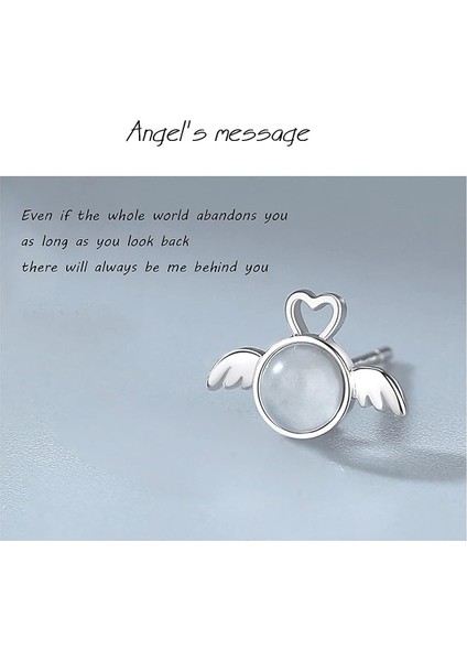 1 Çift 925 Ayar Gümüş Melek ve Şeytan Saplama Küpe Küçük Asimetrik Küpe Ay Taşlı Kakma Sevimli ve Benzersiz Küçük Gümüş ve Siyah Küpe (Yurt Dışından)