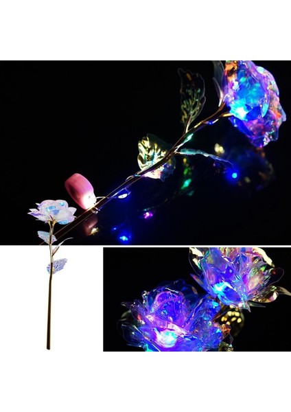 24K Galaxy Gül Işıklı/ışıksız Sevgililer Günü Yıldönümü Doğum Günü Düğün Hediyesi (Yurt Dışından) fiyatları