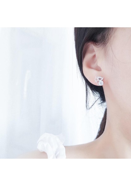 Kadınlar Için Küpe - 925 Ayar Gümüş Küçük Taze Elmas Küpe Sevimli Küçük Fare Saplama Küpe Tatlı Fare Yılı Zodyak Küpe Kadın Kızlar Için Hediyeler (Yurt Dışından) fırsatları