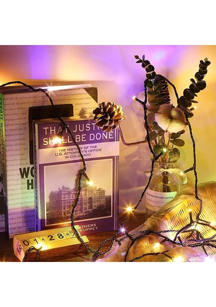 24M 200LEDS Dizi Işıklar, Uzaktan Kumandalı LED Halat Işık, Elektrikli, Iç Mekan/dış Mekan Için Su Geçirmez, Noel Işıkları, Parti, Kutlama Için Ideal (Yurt Dışından) fırsatları