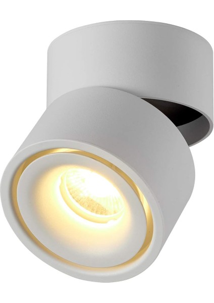 Iç Mekan 10W LED Spot, 360° Ayarlanabilir Döner Tavan Armatürü ve Yüzey Aydınlatma Cob LED 10X10CM/ALÜMINYUM Duvar Lambası (BEYAZ-3000K) [enerji Sınıfı A+] (Yurt Dışından)
