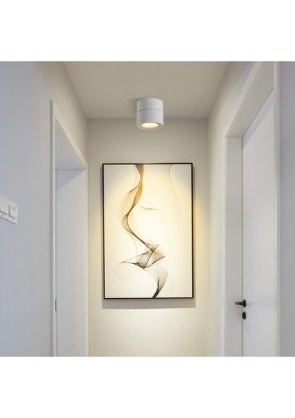 Iç Mekan 10W LED Spot, 360° Ayarlanabilir Döner Tavan Armatürü ve Yüzey Aydınlatma Cob LED 10X10CM/ALÜMINYUM Duvar Lambası (BEYAZ-3000K) [enerji Sınıfı A+] (Yurt Dışından) modelleri