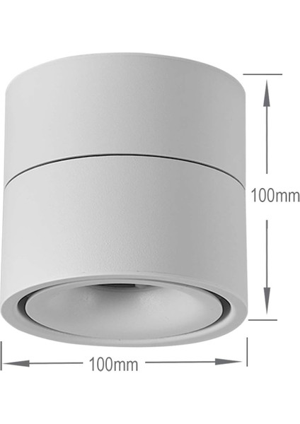 Iç Mekan 10W LED Spot, 360° Ayarlanabilir Döner Tavan Armatürü ve Yüzey Aydınlatma Cob LED 10X10CM/ALÜMINYUM Duvar Lambası (BEYAZ-3000K) [enerji Sınıfı A+] (Yurt Dışından) indirimleri