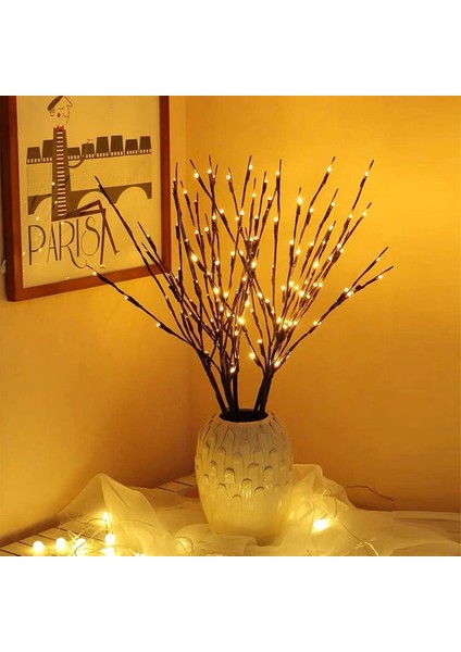 3 Parçalı Işık Ağacı Açık Hava Kapalı 60 Adet LED Su Geçirmez Işık Dalları 76CM Sıcak Beyaz Dallar Açık Kahverengi, Pille Çalışır (Yurt Dışından)