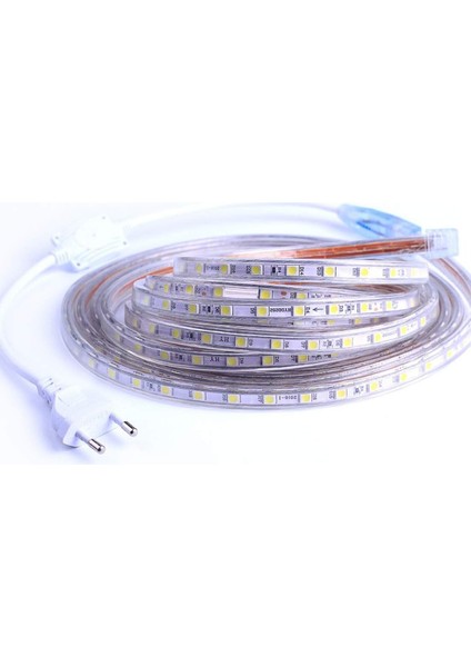 LED Şerit, LED Şerit, Parlak LED Şerit 220V, 5050 IP65 Su Geçirmez LED Şerit Şerit, Soğuk Beyaz (2m) (Yurt Dışından)
