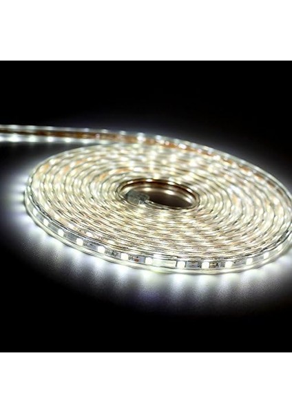 LED Şerit, LED Şerit, Parlak LED Şerit 220V, 5050 IP65 Su Geçirmez LED Şerit Şerit, Soğuk Beyaz (2m) (Yurt Dışından) indirimleri