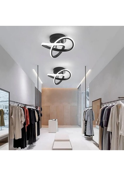 Modern LED Tavan Lambası, 22W Akrilik Avize, Oturma Odası Yatak Odası Için Çiçek Şekilli Tavan Lambası, Çap 24CM, 6000K Beyaz Işık (Yurt Dışından) modelleri