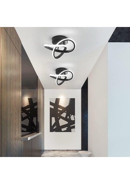 Modern LED Tavan Lambası, 22W Akrilik Avize, Oturma Odası Yatak Odası Için Çiçek Şekilli Tavan Lambası, Çap 24CM, 6000K Beyaz Işık (Yurt Dışından) indirimleri