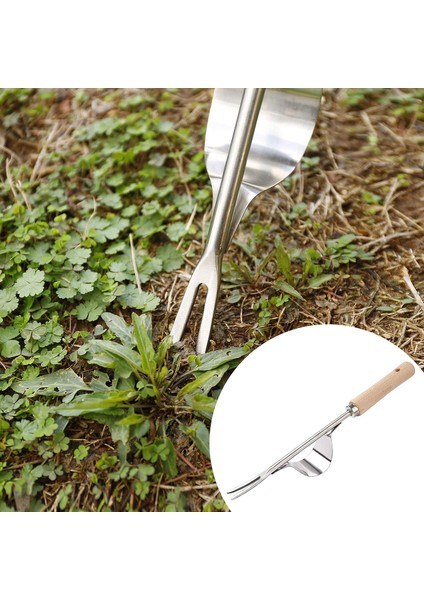 Manuel Ot Öldürücü Bahçe Ayıklaması Aracı Paslanmaz Çelik Ahşap Saplı Bahçe Aracı Bahçenizi Ayıklamak Için 1 Parça Uzun (Yurt Dışından) modelleri