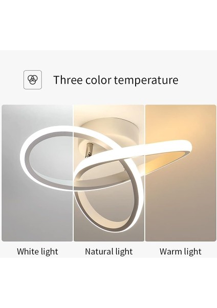 LED Tavan Işığı, 12W Akrilik Tavan Lambası, 3000K/4000K/6000K Mutfak Oturma Odası Yatak Odası Için Kısılabilir Tavan Işığı Dia 24CM (Yurt Dışından) indirimleri