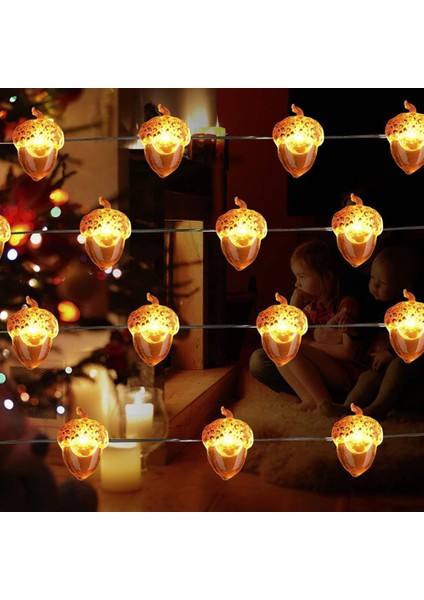 Peri Işıkları Meşe Palamudu Dekoratif Peri Işıkları, 2m 20 LED Peri Işıkları Pille Çalışan, 8 Yanıp Sönme Modu, Uzaktan Kumanda ve Zamanlayıcı (Yurt Dışından)