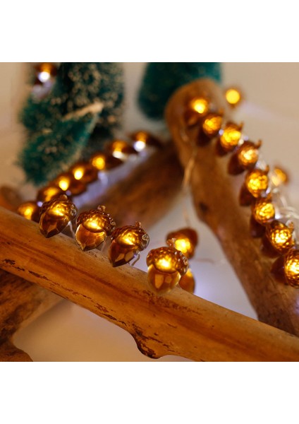 Peri Işıkları Meşe Palamudu Dekoratif Peri Işıkları, 2m 20 LED Peri Işıkları Pille Çalışan, 8 Yanıp Sönme Modu, Uzaktan Kumanda ve Zamanlayıcı (Yurt Dışından) indirimleri