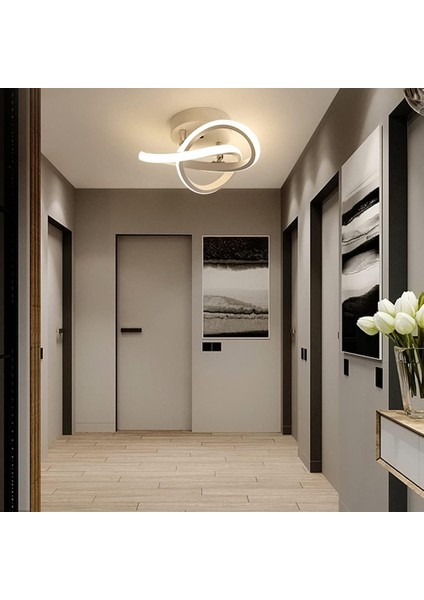 Modern LED Tavan Lambası, 22W 2500LM Modern Yaratıcı Sade Tavan Lambası, Beyaz Işık (Yurt Dışından) fırsatları