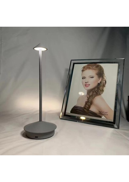 Şarj Edilebilir Masa Lambası Yaratıcı Yemek Dokunmatik LED Masa Lambası Dekoratif Masa Lambası (Yurt Dışından) fırsatları