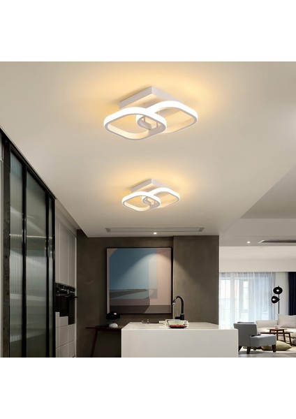 Gdrhvfd |led Tavan Lambası, Modern Tavan Lambası 24W 2520LM, Akrilik Tavan Lambası, Sıcak Beyaz 3000K, Uzunluk 24*genişlik 24 cm (Yurt Dışından) modelleri