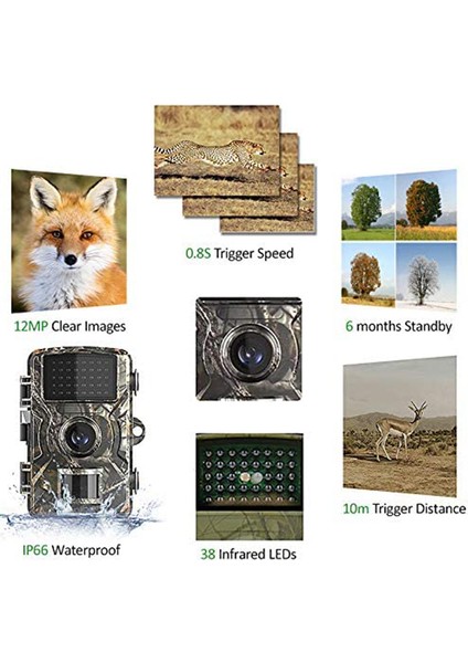 Benkeg Avcılık Kamerası - 12MP 1080P Yaban Hayatı Trail ve Oyun Kamerası Hareketle Aktifleştirilen Güvenlik Kamerası IP66 Su Geçirmez Dış Mekan Kızılötesi (Yurt Dışından) fiyatları