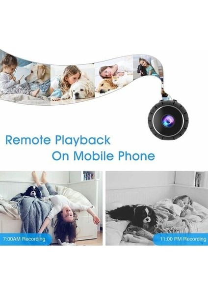 Tırmanma Kemeri, Tırmanma Kemeri Kemeri, Kılavuz Kemeri, Yüksek Seviye Dağcılık Için Emniyet Kemerleri Kurtarma Mağaracılık Tırmanışı Rappelling Yarım Vücut Donanımı (Siyah) (Yurt Dışından) modelleri