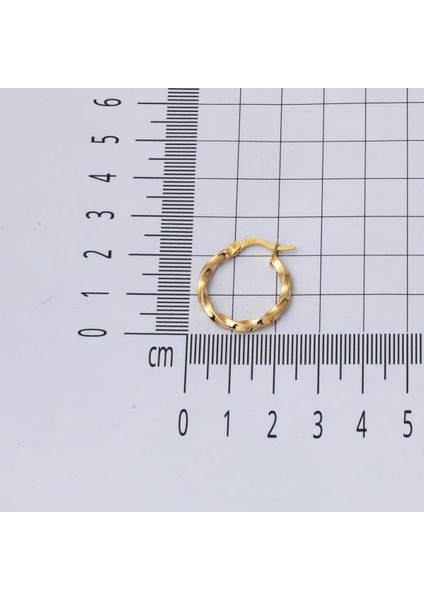 14 Ayar 2 Cm. Çaplı Burgu Altın Halka Küpe indirimleri