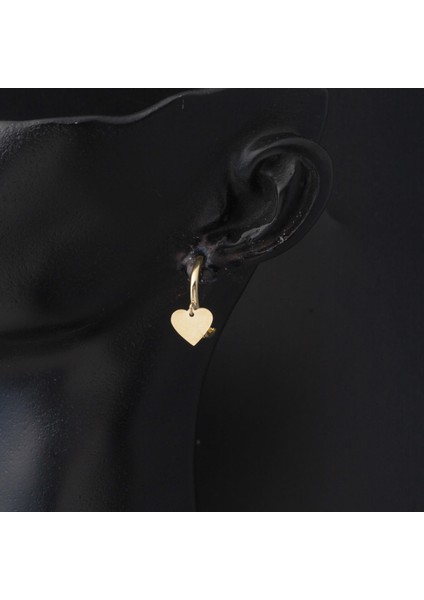 14 Ayar Kalp Figürlü Sallantılı Altın Küpe fiyatları