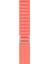 Watch 2 3 4 5 6 7 8 9 Se 38 40 41MM Uyumlu Alpine Loop Kordon Phio 1