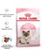 Anne ve Yavruları Için Kedi Maması 2 kg 2
