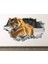 Vahşi Doğa Muhteşem Hayvanlar Full Hd Baskı 3D Modern Duvar Sticker 1