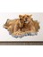 Vahşi Doğa Muhteşem Hayvanlar Full Hd Baskı 3D Modern Duvar Sticker 1
