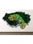 Vahşi Yaşam Muhteşem Hayvanlar Full Hd Baskı 3D Modern Duvar Sticker 1