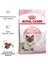 Motherbaby Cat 34 Anne ve Yavru Kedi Maması 4 kg 3