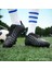 Futbol Ayakkabısı (Yurt Dışından) 1