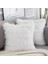 2'li Set Beyaz Dekoratif Kabarık Yastık Kapakları Yeni Lüks Serisi Merinos Tarzı Suni Kürk Atmak Yastık Kapakları Kare Bulanık Yastık Kılıfı 16X16 Inç (Yurt Dışından) 1