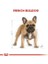 French Bulldog Yetişkin Köpek Maması 3 kg 3