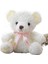 Sevimli Ayıcık Peluş Oyuncak Dr. Bear Doll (Yurt Dışından) 1