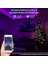 5m Bluetooth Akıllı LED Işık Şeridi WS2812B - Uzaktan Kumanda + Uygulama Ile, Müzik Ritmi / Fonksiyonu ile Senkronize Edin (Yurt Dışından) 3
