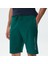 Erkek Yeşil Standart Fıt Şort K37303T.3UE 4