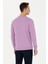 U.S. Polo Assn. Erkek Lila Sweatshirt 50269402-VR034 5