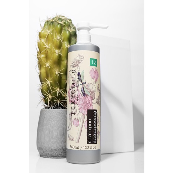 Fructis Shampoo – 360 Ml | Für Gesund Aussehendes, Gepflegtes Haar
