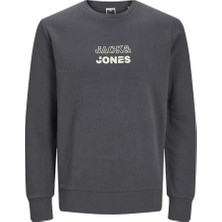 Jack & Jones Bisiklet Yaka Asfalt Erkek Sweatshirt 12225139