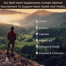 Ancestral Supplements New Zealand & Australia Grassfed Beef Heart & Liver Hormone Pesticide & Gmo Free 180 Kapsül