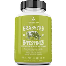 Ancestral Supplements New Zealand & Australia Grassfed Beef Intestines Tripe & Stomach Hormone Pesticide & Gmo Free 180 Kapsül