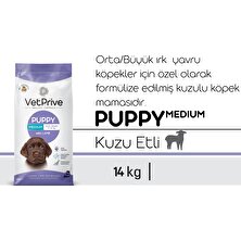 Vet Prive Orta ve Iri Irk Yavru Köpek Maması Kuzu Etli 14 kg