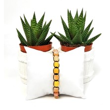 Taş Rüyası Küp Akik Örme Bileklik 8 mm Sarı - Turuncu